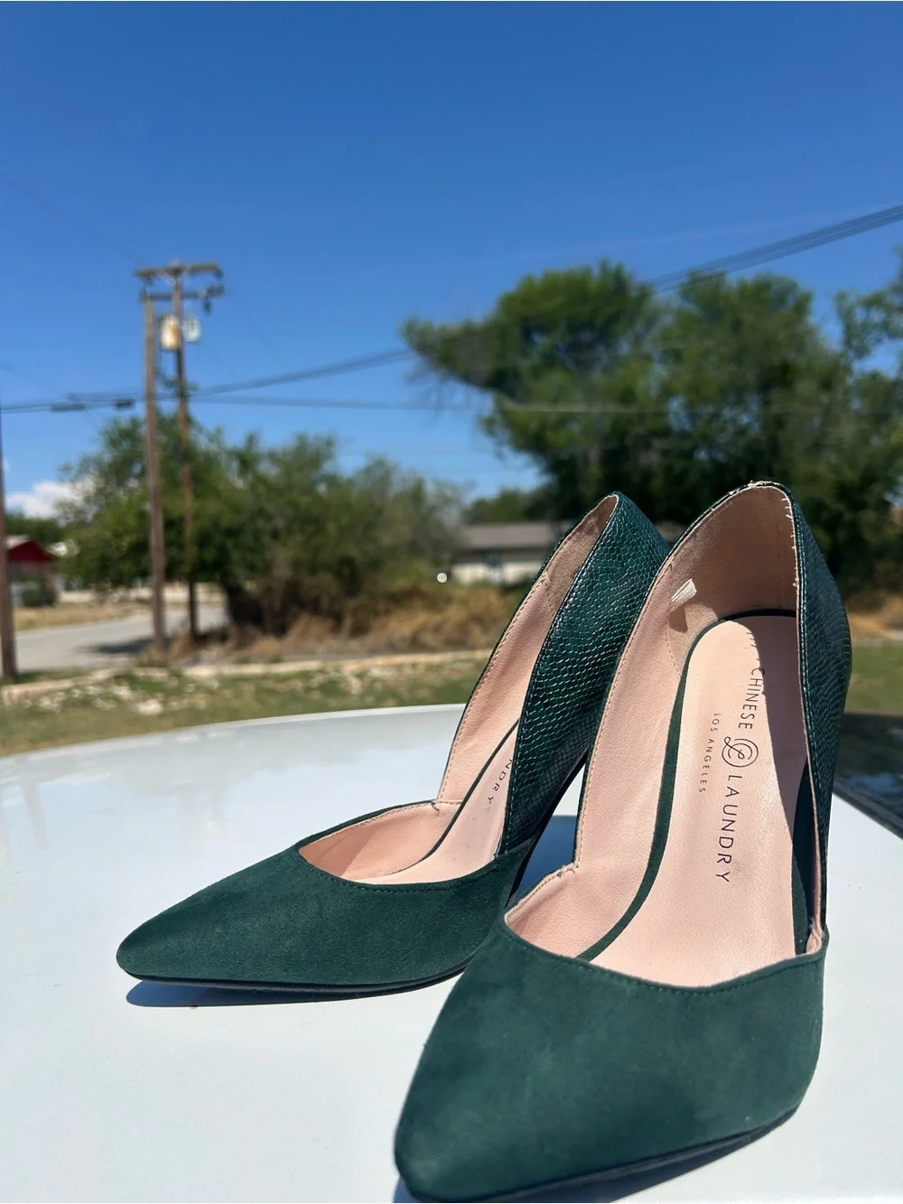 Snake Skin & Suede Dark Green Pointed-Toe Stiletto Pumps